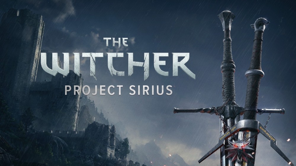 The job Posting hints that The Witcher multiplayer will feature a class-based gameplay mode